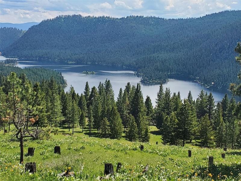 Seeley Lake, Missoula County, MT Undeveloped Land for sale Property ID: 417069440
