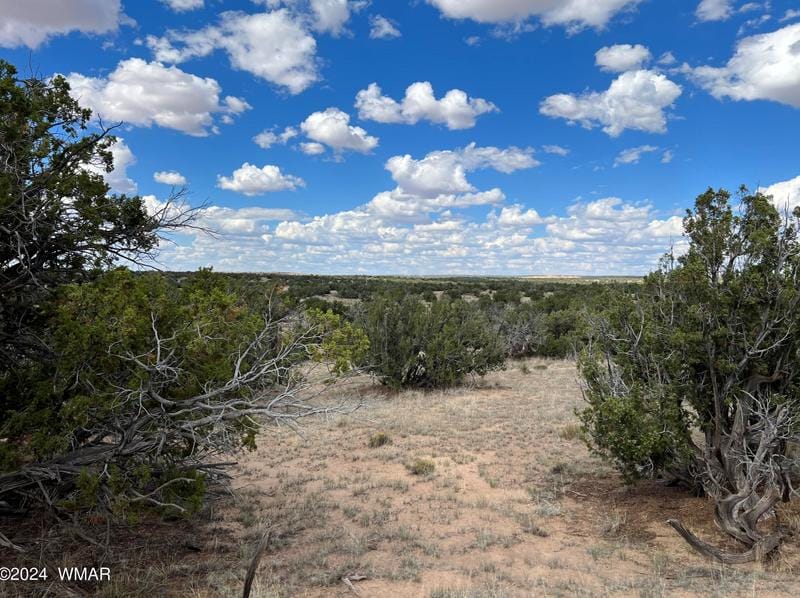 None G-Bar Ranch Unit #1, Saint Johns, AZ 85936 - MLS 249277 for Sale