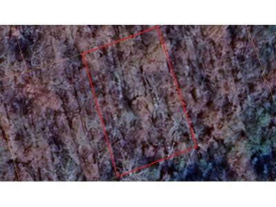Cedar Creek Dr for Sale