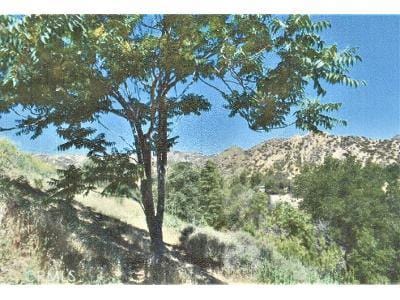 Verde Mountain Way for Sale