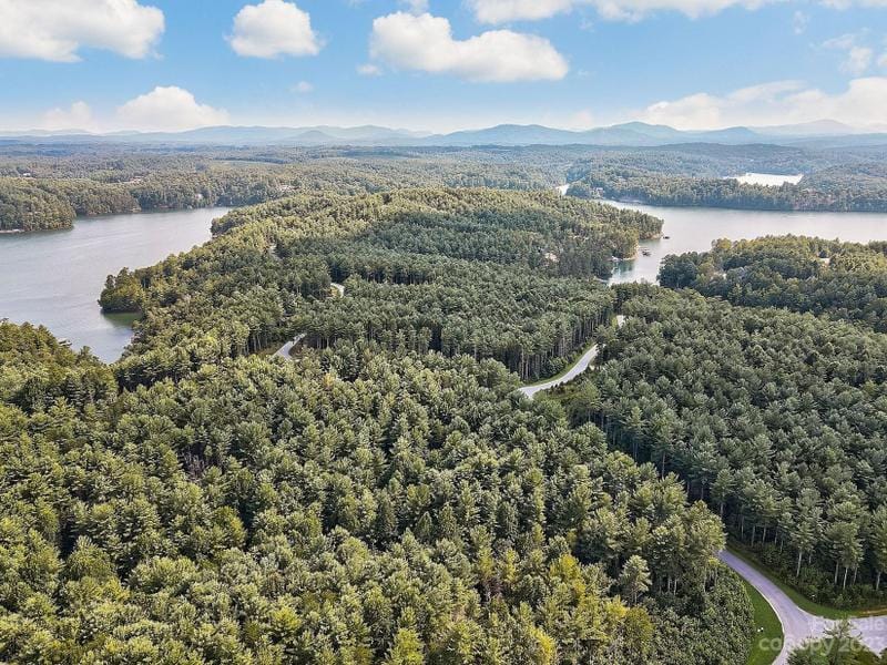 Nebo, Mc Dowell County, NC Undeveloped Land, Homesites for sale Property ID: 417305053