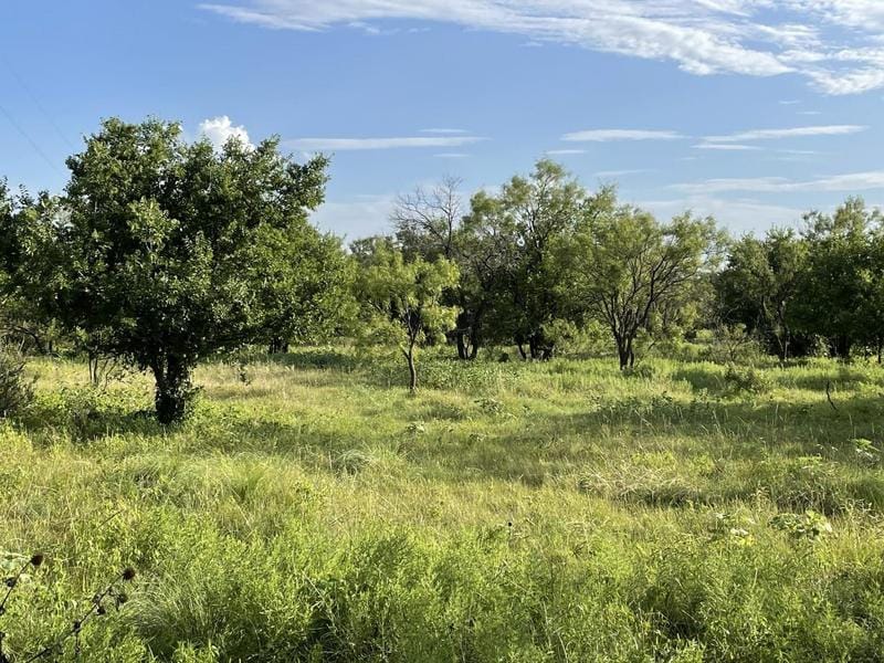 Abilene, Jones County, TX Undeveloped Land, Hunting Property, Horse Property for sale Property ID: 411234591