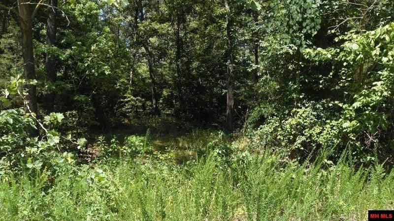 Elizabeth, Baxter County, AR Undeveloped Land, Homesites for sale Property ID: 416821316