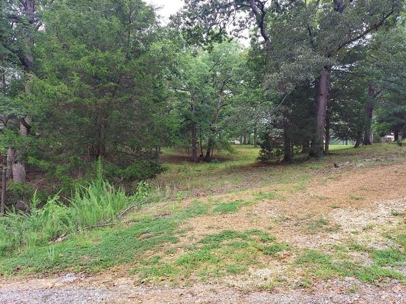 Springville, Henry County, TN Homesites for sale Property ID: 417407666