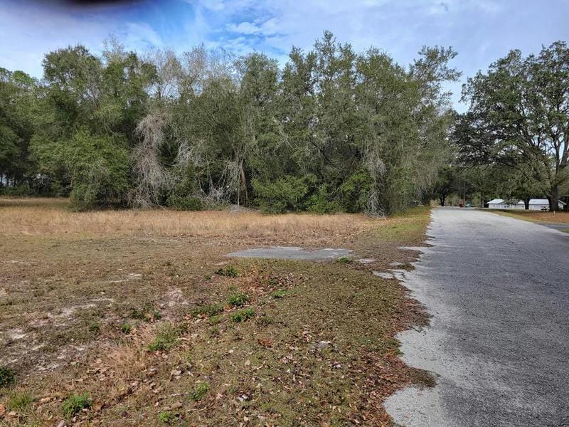 000 SE 161ST CT, Ocklawaha, FL 32179 Land For Sale  MLS# 789919