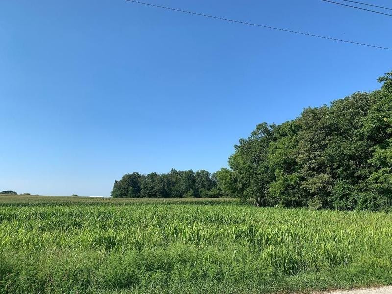 Rensselaer, Jasper County, IN Undeveloped Land, Homesites for sale Property ID: 338874127