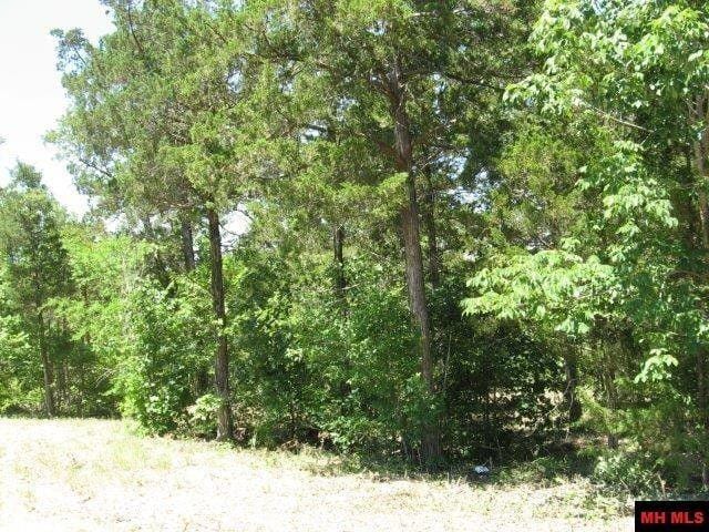 Mountain Home, Baxter County, AR Undeveloped Land, Homesites for sale Property ID: 416178608