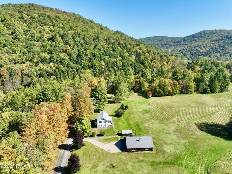Equinunk, Wayne County, PA Lakefront Property, Waterfront Property, House for sale Property ID: 417904497