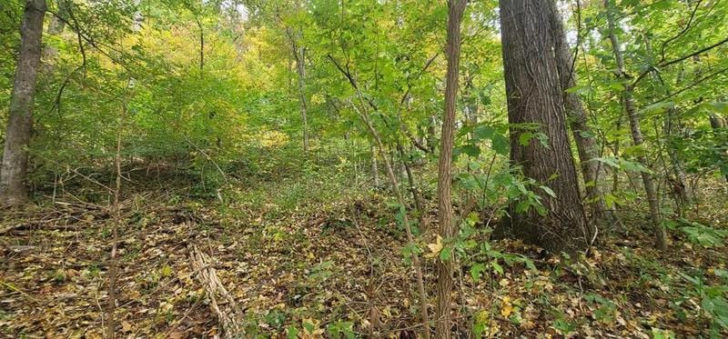 Smithville, De Kalb County, TN Homesites for sale Property ID: 418119627