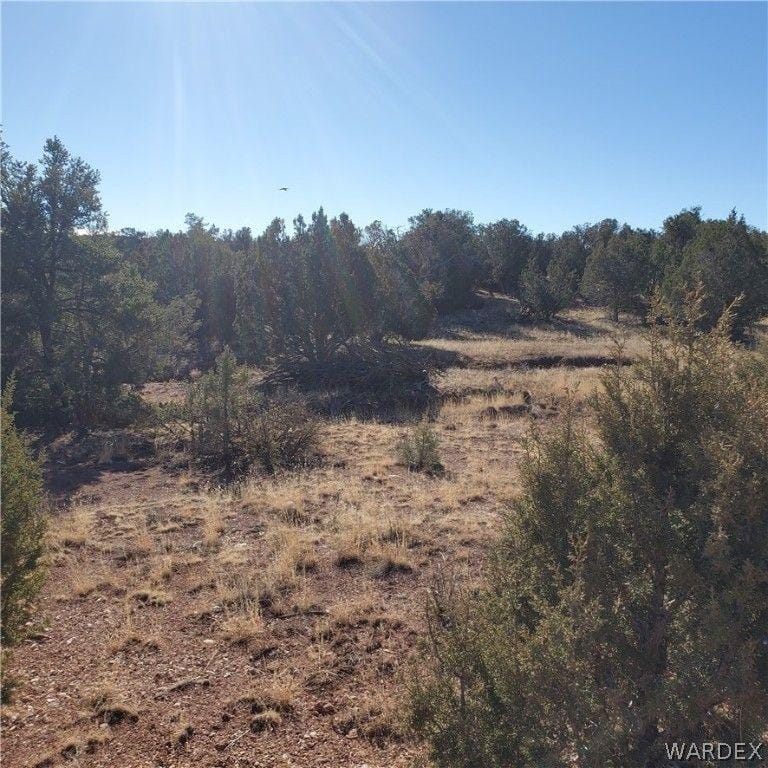 Seligman, Yavapai County, AZ Farms and Ranches, Homesites for sale Property ID: 415296889
