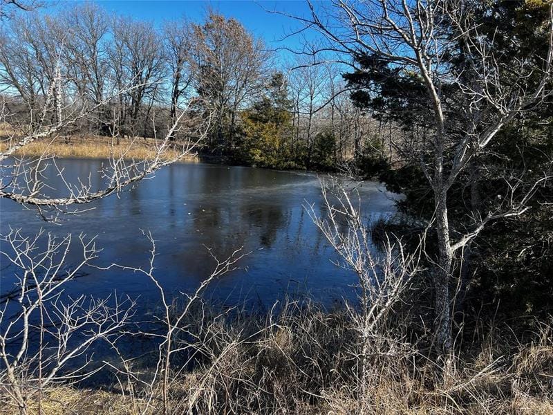 000 County Rd 1258, Whitesboro, TX 76273 for Sale