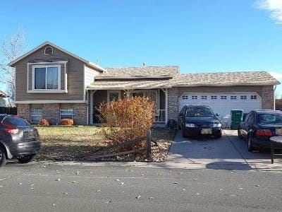 Wheatgrass Cir for Sale