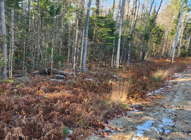 30 D Chase Road, Sandwich, NH 03259 for Sale