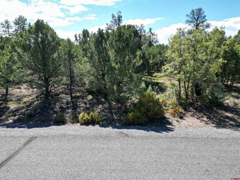 Lot 4-tbd Cottontail Lane, Ridgway, CO 81432 for Sale