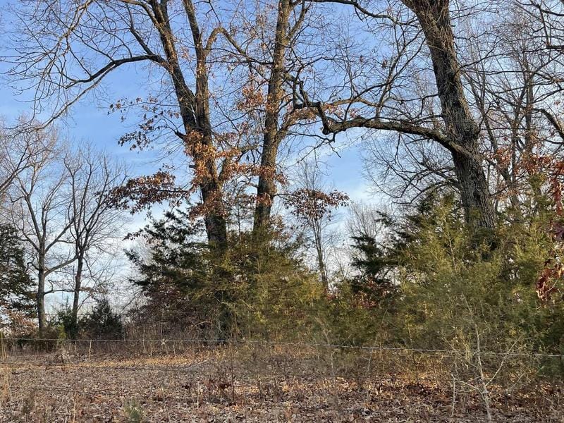 E Crawford Road, Harrison, AR 72601  623639735 for Sale