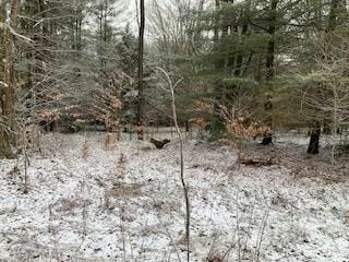 0 MONACACY LANE, Westfield, PA 16950 Land For Sale  MLS# 31717812