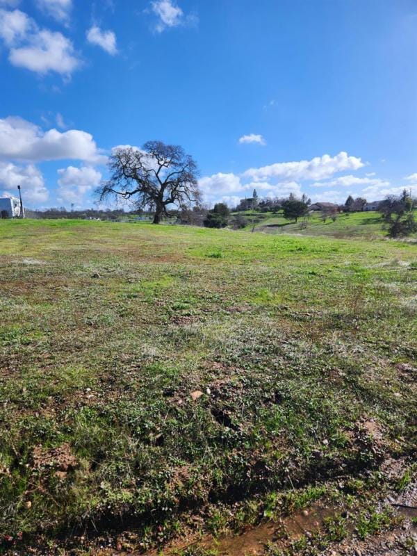 3680 TEEPEE CT, Ione, CA 95640 Single Family Residence For Sale  MLS# 224008135 for Rent