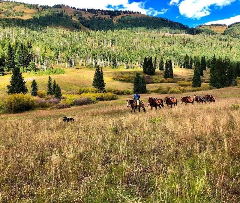 Meeker, Rio Blanco County, CO Farms and Ranches, Commercial Property, Horse Property for sale Property ID: 416975654