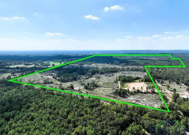 Longview, Gregg County, TX Undeveloped Land for sale Property ID: 417841218