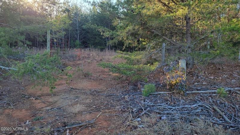 Goldston, Moore County, NC Undeveloped Land for sale Property ID: 418477654