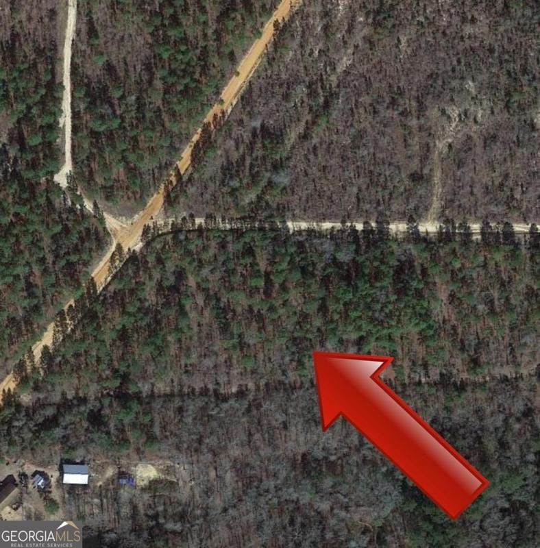 Mauk, Marion County, GA Undeveloped Land for sale Property ID: 417952756