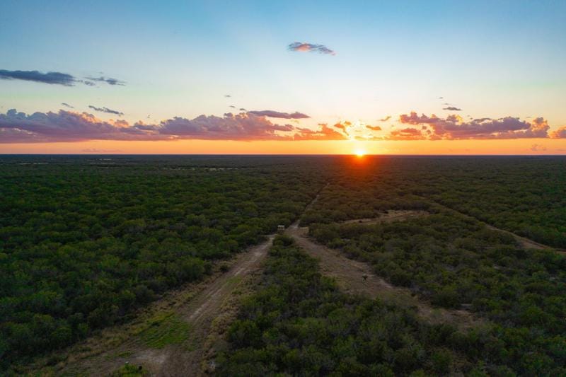 Benavides, Duval County, TX Recreational Property, Undeveloped Land, Hunting Property for sale Property ID: 418420705
