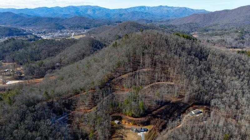 00 WILLOW LANE, ROBBINSVILLE, NC 28771 Land For Sale  MLS# 147431