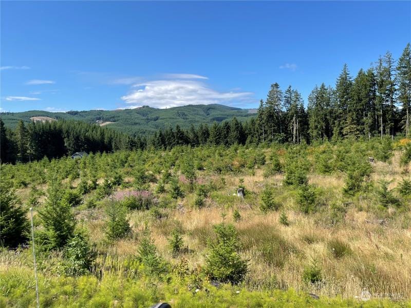 0 Pe Ell Mc Donald Road, Chehalis, WA 98532 for Sale