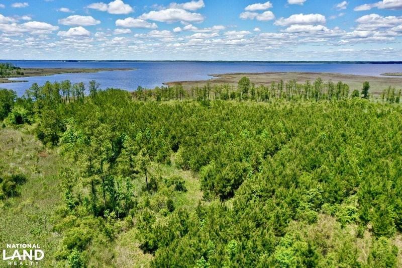 Scranton, Hyde County, NC Recreational Property, Undeveloped Land, Riverfront Property, Waterfront Property for sale Property