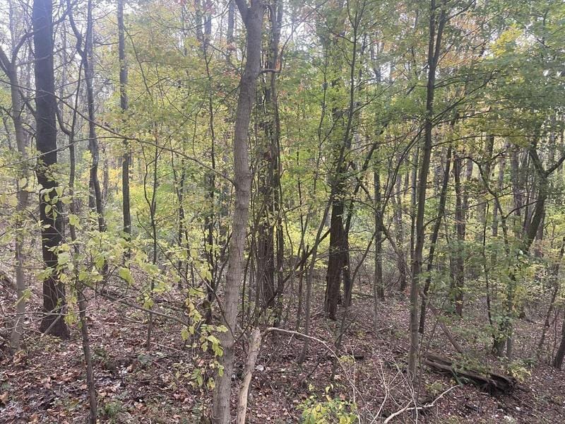 2230 Birds Creek Rd, Tunnelton, WV 26444  623905178 for Sale