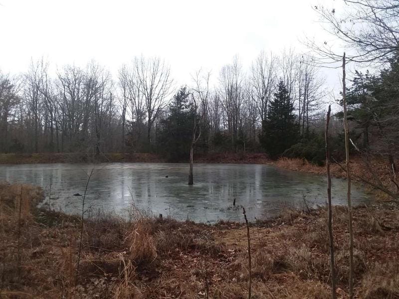 000 County Road 1290, Willow Springs, MO 65793  624492106 for Sale