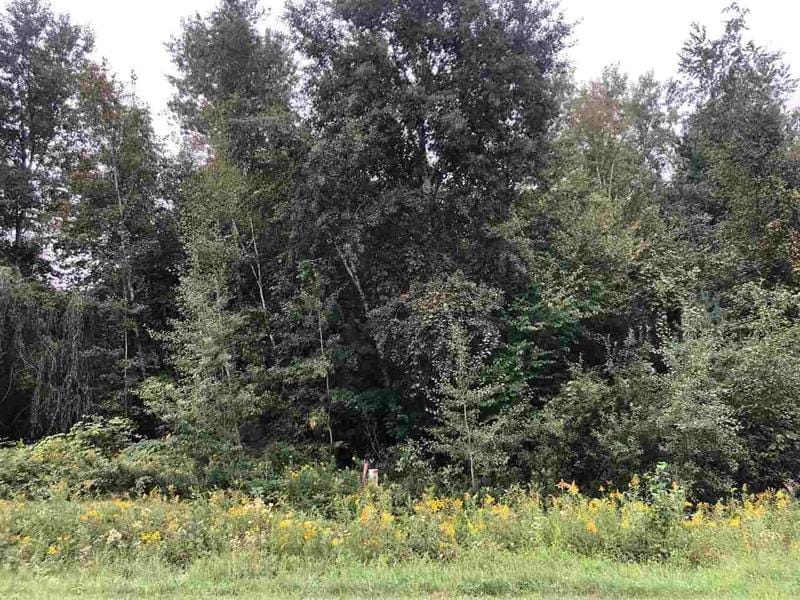 Beaverton, Gladwin County, MI Undeveloped Land, Homesites for sale Property ID: 411677155