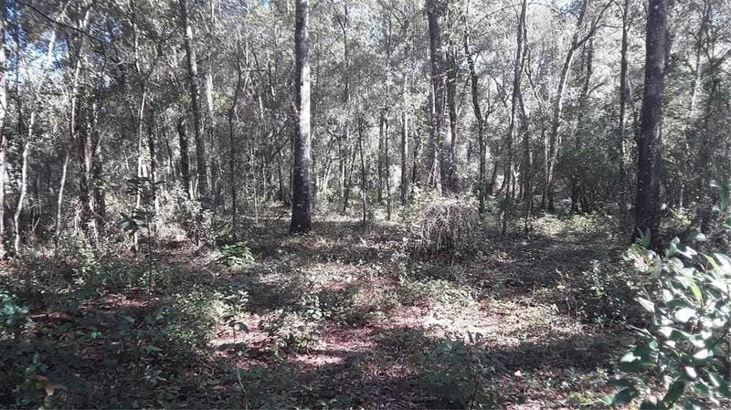 Silver Springs, Marion County, FL Undeveloped Land, Homesites for sale Property ID: 415794900