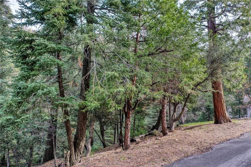 8 Calanda Drive, Crestline, CA 92325 for Sale