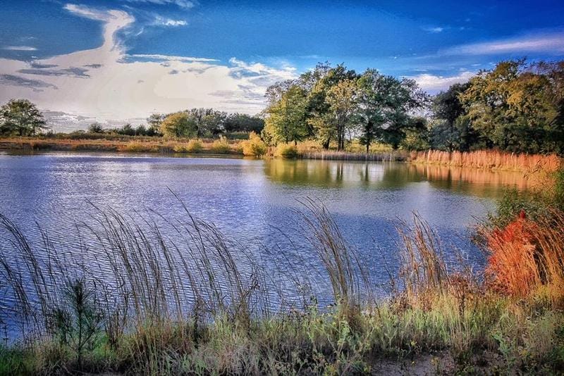 4033 TX 19, Sulphur Springs, TX 75482 for Sale