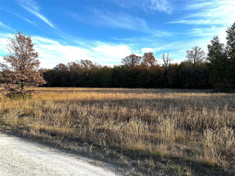 Blossom, Lamar County, TX Undeveloped Land, Homesites for sale Property ID: 418381755