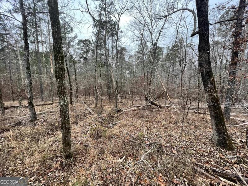 0 OCONEE DRIVE, Sparta, GA 31087 Land For Sale  MLS# 20169090