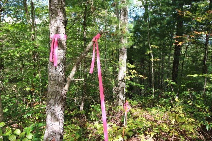 Walland, Blount County, TN Undeveloped Land, Homesites for sale Property ID: 417990170