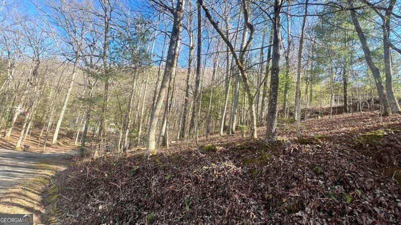 16 WELLBORNMOUNTAIN RD, Blairsville, GA 30512 Single Family Residence For Sale  MLS# 10252646 for Rent