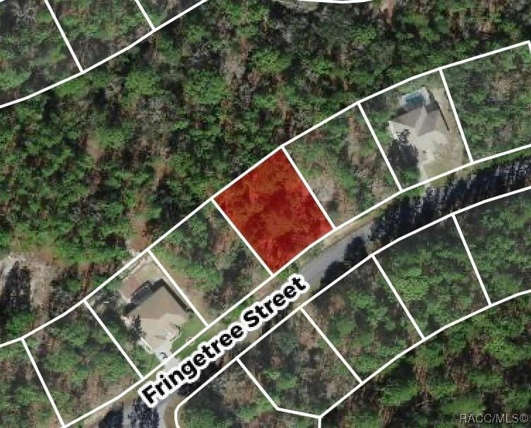 32 FRINGETREE ST, Homosassa, FL 34446 Single Family Residence For Sale  MLS# 830564 for Rent