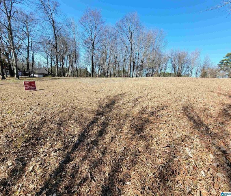 Fultondale, Jefferson County, AL Undeveloped Land, Homesites for sale Property ID: 418779605