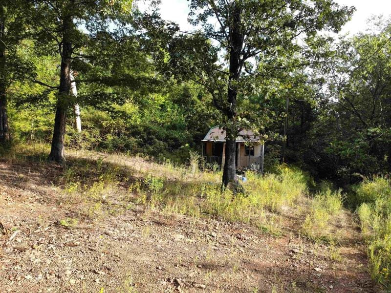 Clinton, Van Buren County, AR Undeveloped Land for sale Property ID: 417821902