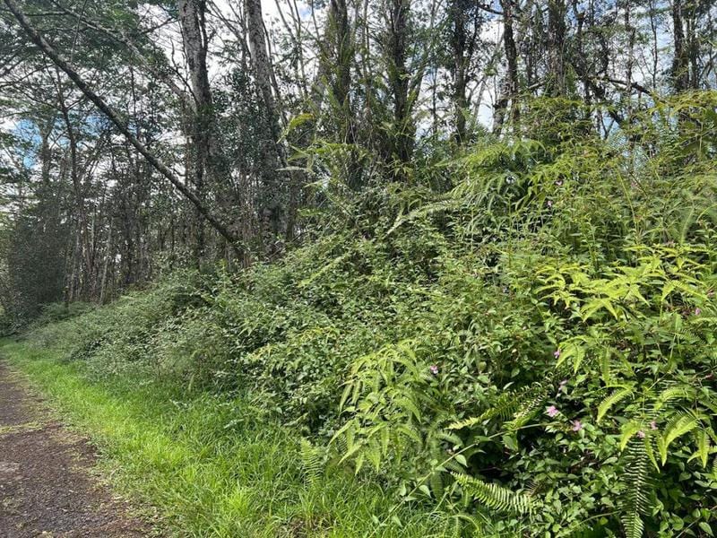 PLUMERIA RD, PAHOA, HI 96778 Land For Sale  MLS# 704474