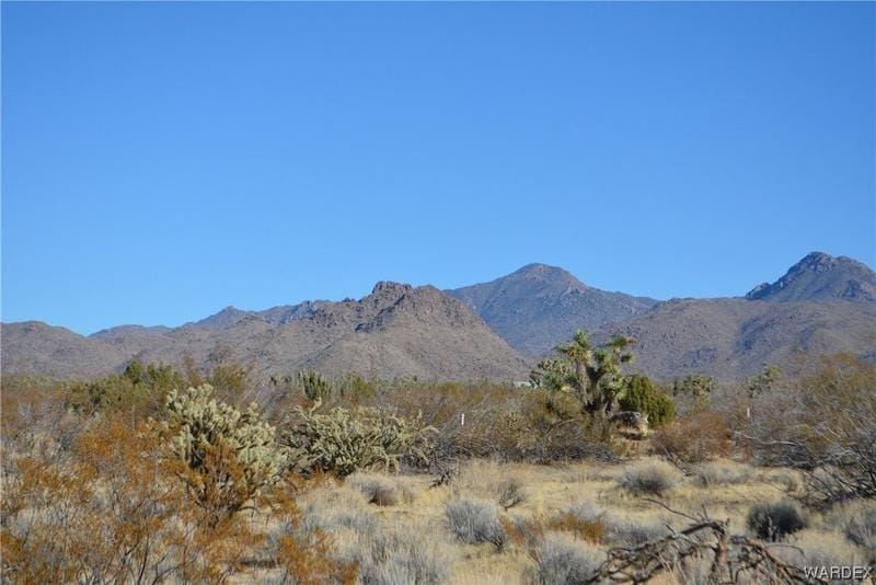 Yucca, Mohave County, AZ Farms and Ranches for sale Property ID: 418779852