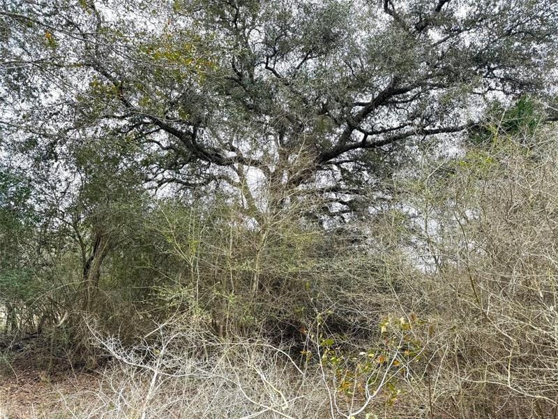 TBD Kearney Drive, Columbus, TX 78934 for Sale