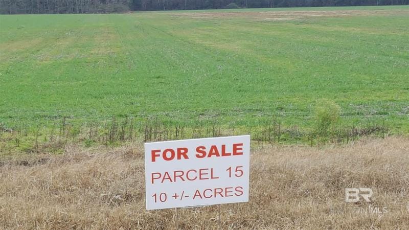 Foley, Baldwin County, AL Undeveloped Land for sale Property ID: 418160461