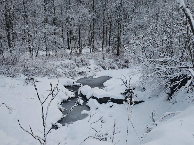 Ava, Oneida County, NY Undeveloped Land, Lakefront Property, Waterfront Property for sale Property ID: 418747530