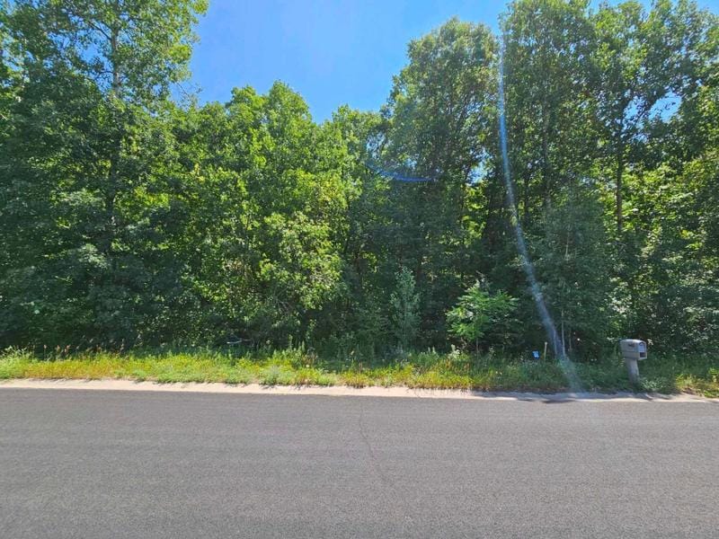Lot 73 Roosevelt Avenue, Dresser, WI 54009 for Sale