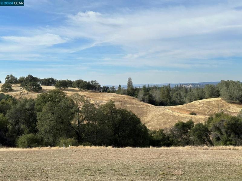13450 HERITAGE OAKS DR, Sutter Creek, CA 95685 Unimproved Land For Sale  MLS# 41049490