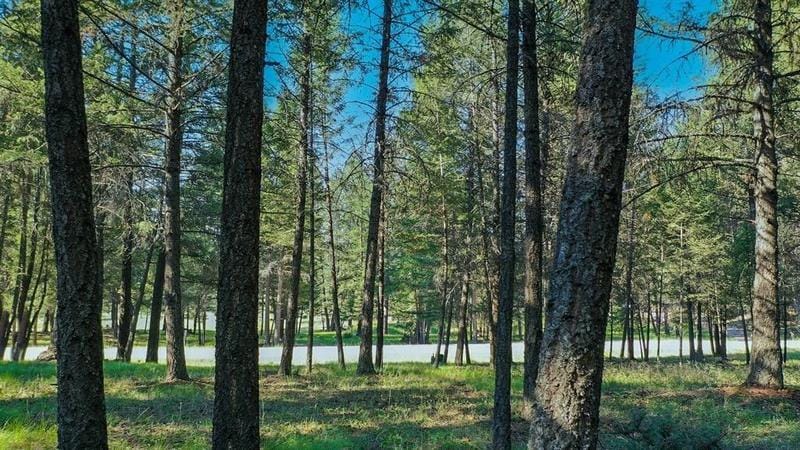 Eureka, Lincoln County, MT Undeveloped Land, Homesites for sale Property ID: 418082824